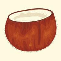 Vector realistic illustration of a split coconut half. Tropical fruit or nuts with coconut water or milk for a refreshing drink.