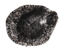 pièces de bois avec Naturel texture png