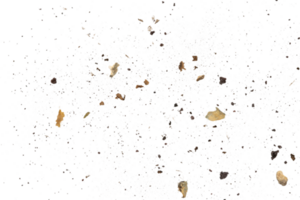 ruvido esplosione polvere particella struttura png