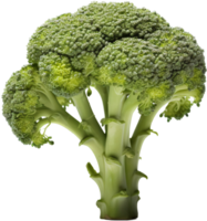 Broccoli png with AI generated.