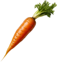 Carrot png with AI generated.