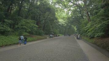 Tokyo, Japan - May 29 , 2023 Meiji Shrine and the adjacent Yoyogi Park in Tokyo , Japan , video