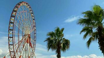 Batumi vintage ferris wheel panorama with palms on sunny day in Georgia. Famous travel destination in caucasus video