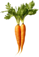 Carrot png with AI generated.