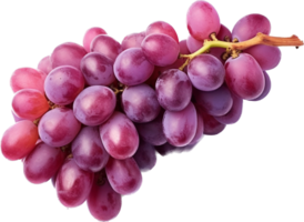 Grape png with AI generated.