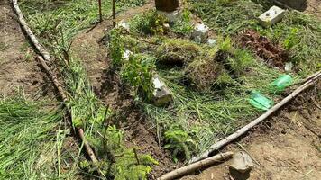 modelo de sitio zona hecho de césped ,palos,rocas y ladrillos natural bosque elementos. carreteras y objetos en tonto mapa en militar ejercicio. táctica y misión en bosque video