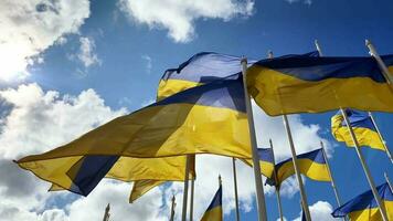 flaggor av ukraina i eu, tecken av solidaritet i de bekämpa för frihet mot de ryska ockupanter. mot de blå himmel. slava ukraini video