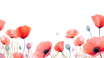 Poppy flowers watercolor border. Illustration AI Generative png