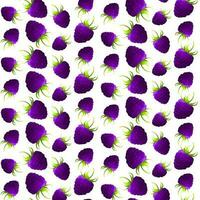 Seamless pattern blackberries. For labels, menus, poster, print, or packaging design. Vector illustration