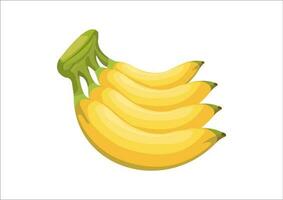 bananas fruit vector