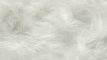 White long hair artificial fur. Background video