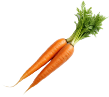 Carrot png with AI generated.