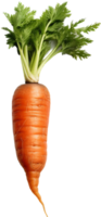 Carrot png with AI generated.