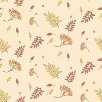 Seamless Autumn Pattern with Rowan Leaves and Berries vector