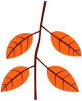 otoño otoño hojas decoración elemento, plano estilo ilustración. png