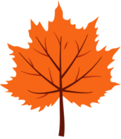 otoño otoño hojas decoración elemento, plano estilo ilustración. png