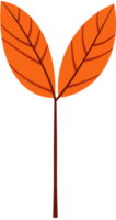 otoño otoño hojas decoración elemento, plano estilo ilustración. png