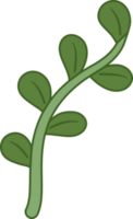 Plant and seaweed cute cartoon style png