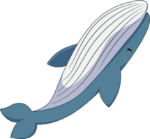 bleu baleine à bosse baleine mignonne dessin animé style png