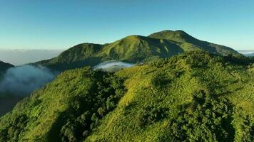 aereo Visualizza di montagne sopra il nuvole a Alba. nel il monkrang colline, Indonesia video