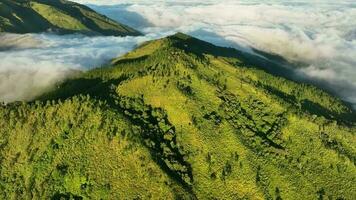 antenne visie van bergen bovenstaand de wolken Bij zonsopkomst. in de mongkrang heuvels, Indonesië video