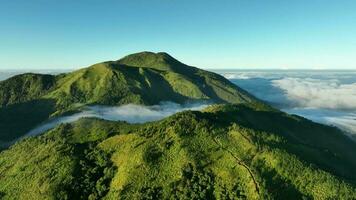 Antenne Aussicht von Berge über das Wolken beim Sonnenaufgang. im das mongkrang Hügel, Indonesien video