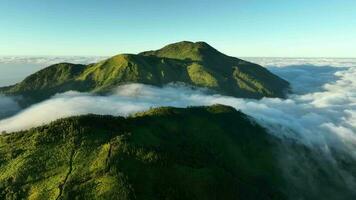 Antenne Aussicht von Berge über das Wolken beim Sonnenaufgang. im das mongkrang Hügel, Indonesien video