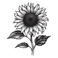 Beautiful Sunflower Silhouette - Generative Ai png