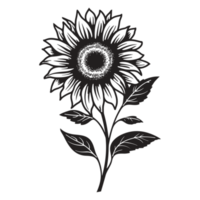 Beautiful Sunflower Silhouette - Generative Ai png