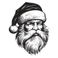 Beautiful Santa Face - png