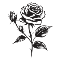 Beautiful Rose Silhouette - Generative Ai png