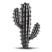Beautiful Cactus - png