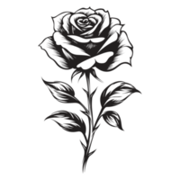 Beautiful Rose Silhouette - Generative Ai png