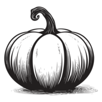 Beautiful Pumpkin Silhouette - Generative Ai png