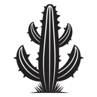 Beautiful Cactus - png