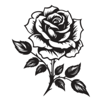 Beautiful Rose Silhouette - Generative Ai png