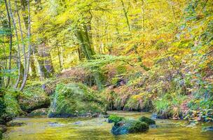 Forest nature Huelgoat in autumn photo