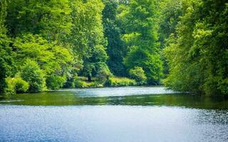 Forest near Clisson Village in France photo