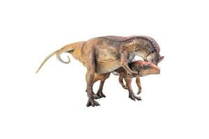 dinosaur , Allosaurus on isolated background photo