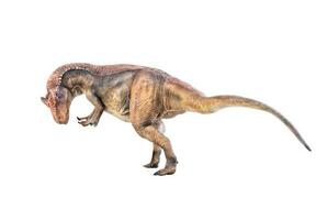 dinosaur , Allosaurus on isolated background photo