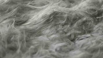 Gray long hair artificial fur. Background video