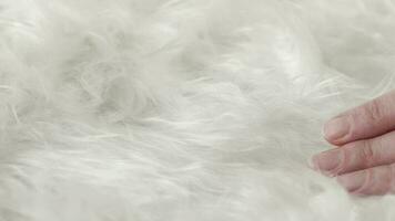 White long hair artificial fur. Background video