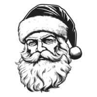 Beautiful Santa Face - Generative Ai png