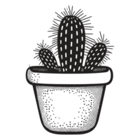 hermosa cactus - generativo ai png