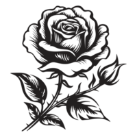 Beautiful Rose Silhouette - Generative Ai png