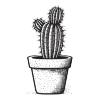 hermosa cactus - generativo ai png