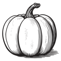 hermosa calabaza silueta - generativo ai png