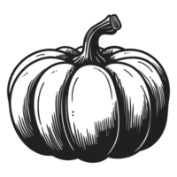 Beautiful Pumpkin Silhouette - Generative Ai png