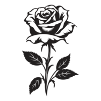 Beautiful Rose Silhouette - Generative Ai png