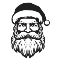 Beautiful Santa Face - png